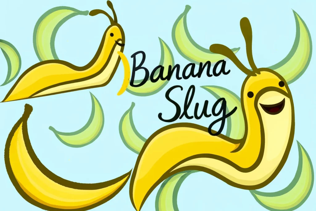 Playful cartoon artwork of two bright yellow banana slugs surrounded by green banana peels on a blue background, with the words “Banana Slug” in clean hand-drawn lettering.